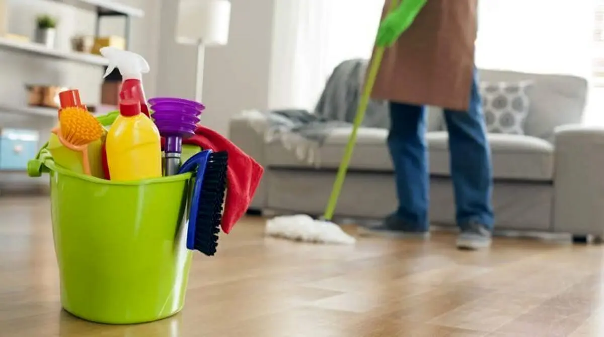 نظافتچی منزل، سارق از آب درآمد