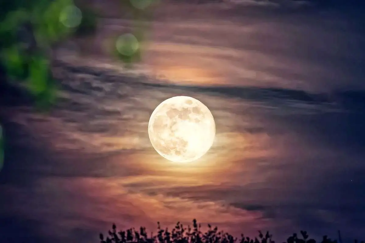 تفال به حافظ شنبه ۶ بهمن ۱۴۰۳؛ای روی ماه منظر تو نوبهار حسن....