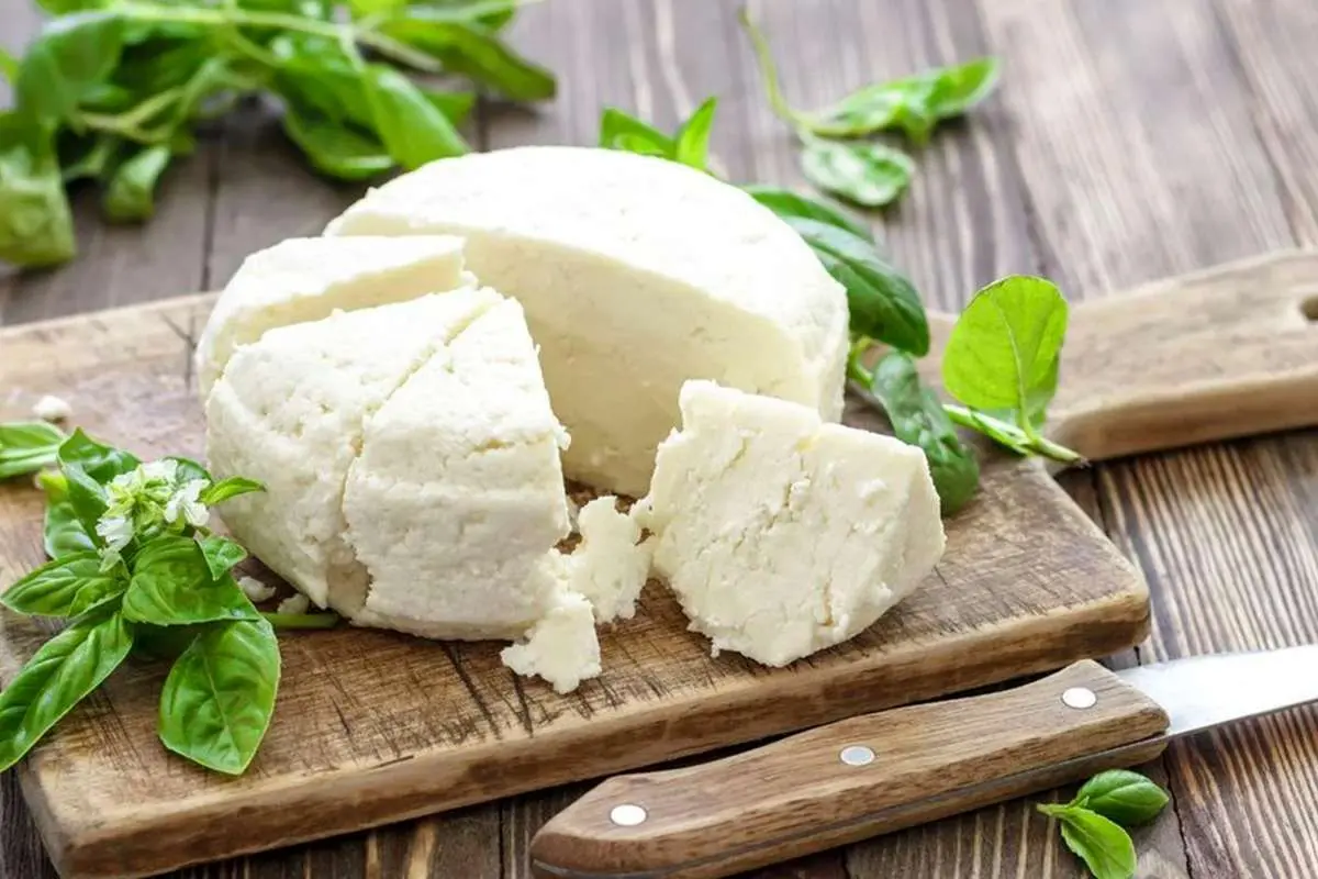 (ویدئو) آیا خوردن پنیر خالی در وعده صبحانه باعث کاهش حافظه میشود؟
