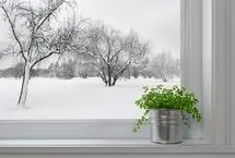 تفال به حافظ پنجشنبه ۱۱ بهمن ۱۴۰۳؛ ما را ز خیال تو چه پروای شراب است...
