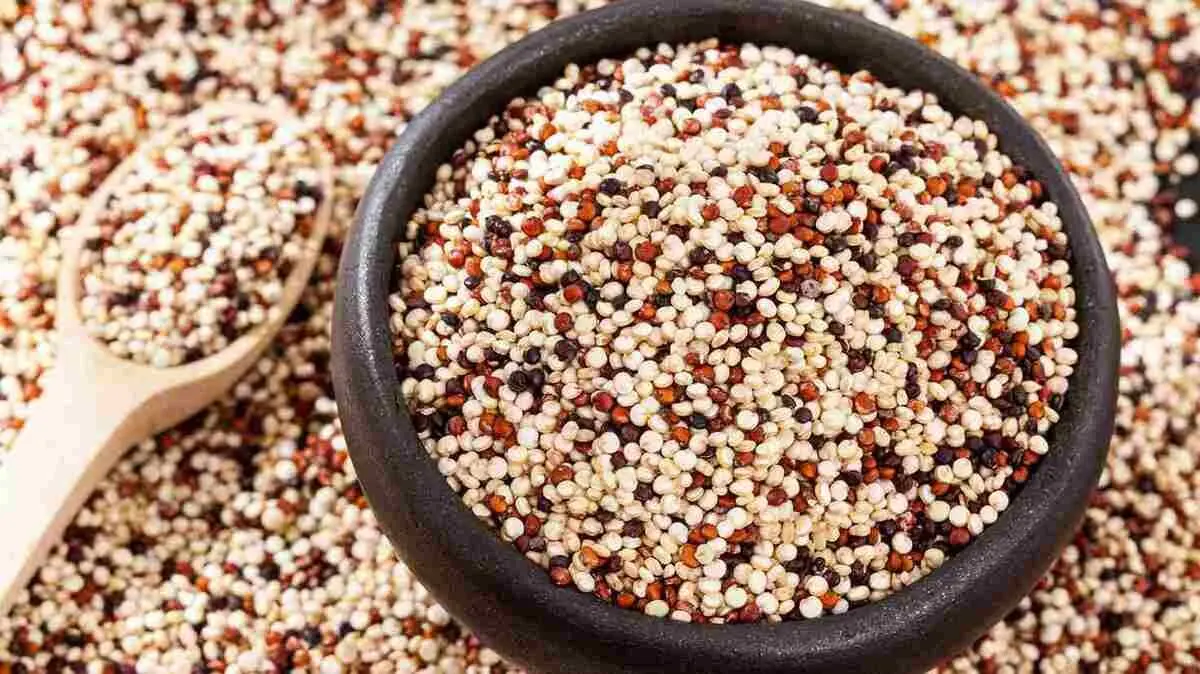 این مواد غذایی سبب کاهش کلسترول خون می‌شود