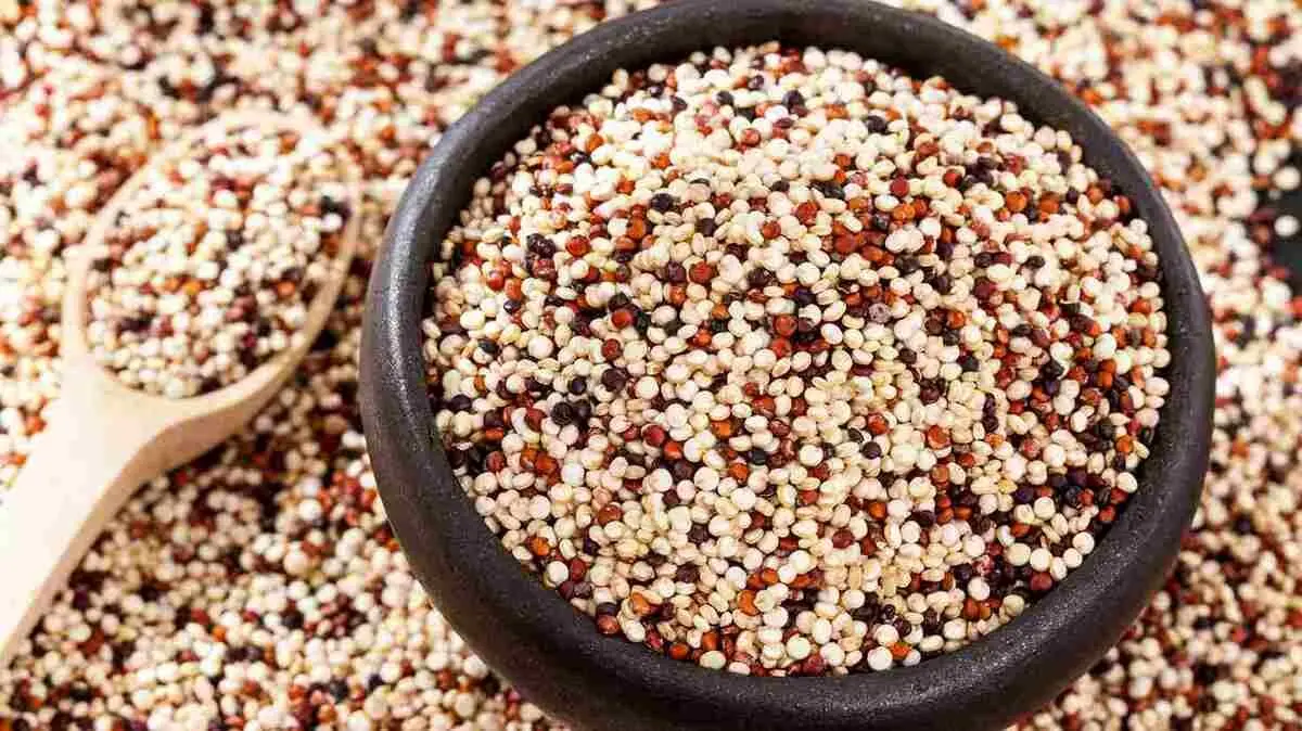 این مواد غذایی سبب کاهش کلسترول خون می‌شود