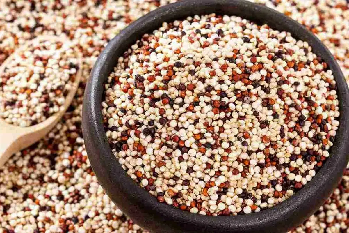 این مواد غذایی سبب کاهش کلسترول خون می‌شود