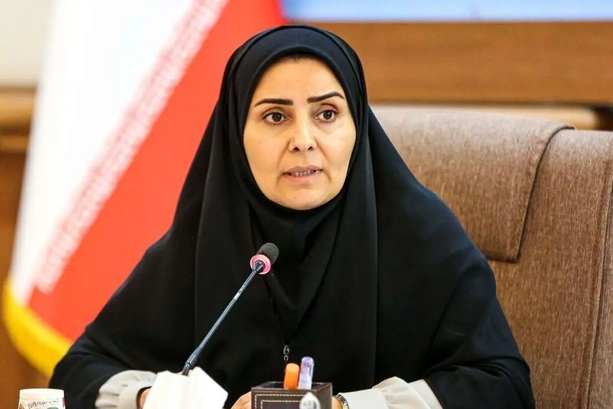 (ویدئو) رایزنیها برای برقراری پرواز پاریس
