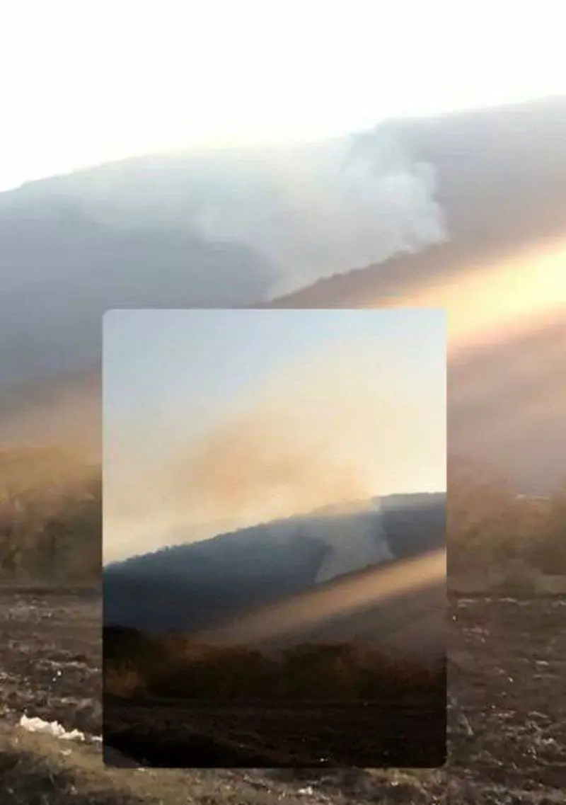 آتش سوزی جنگل