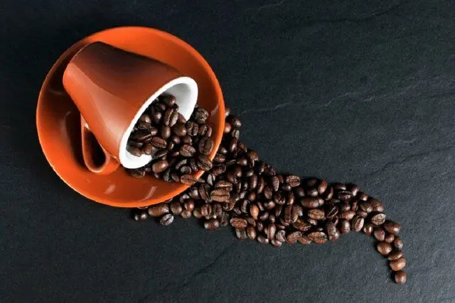 درمان سرطان با کافئین؛ پیوند قهوه و مهندسی ژنتیک
