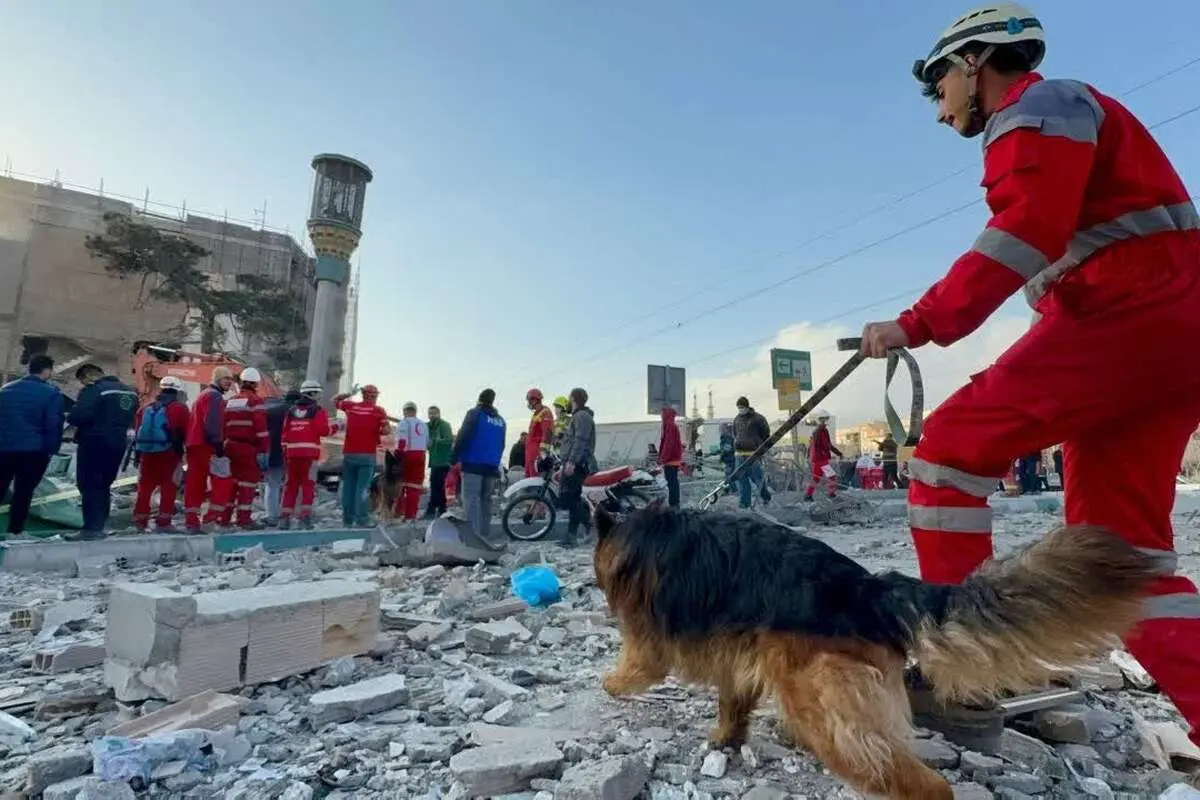 فرشتگانِ چهارپا در برزخِ جنگ/ سربازان بی‌مدالِ خاکستر
