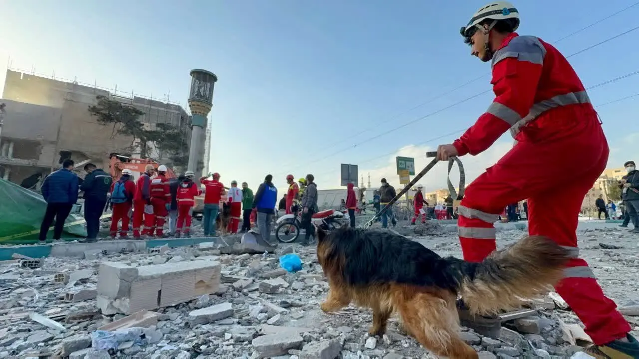 فرشتگانِ چهارپا در برزخِ جنگ/ سربازان بی‌مدالِ خاکستر

