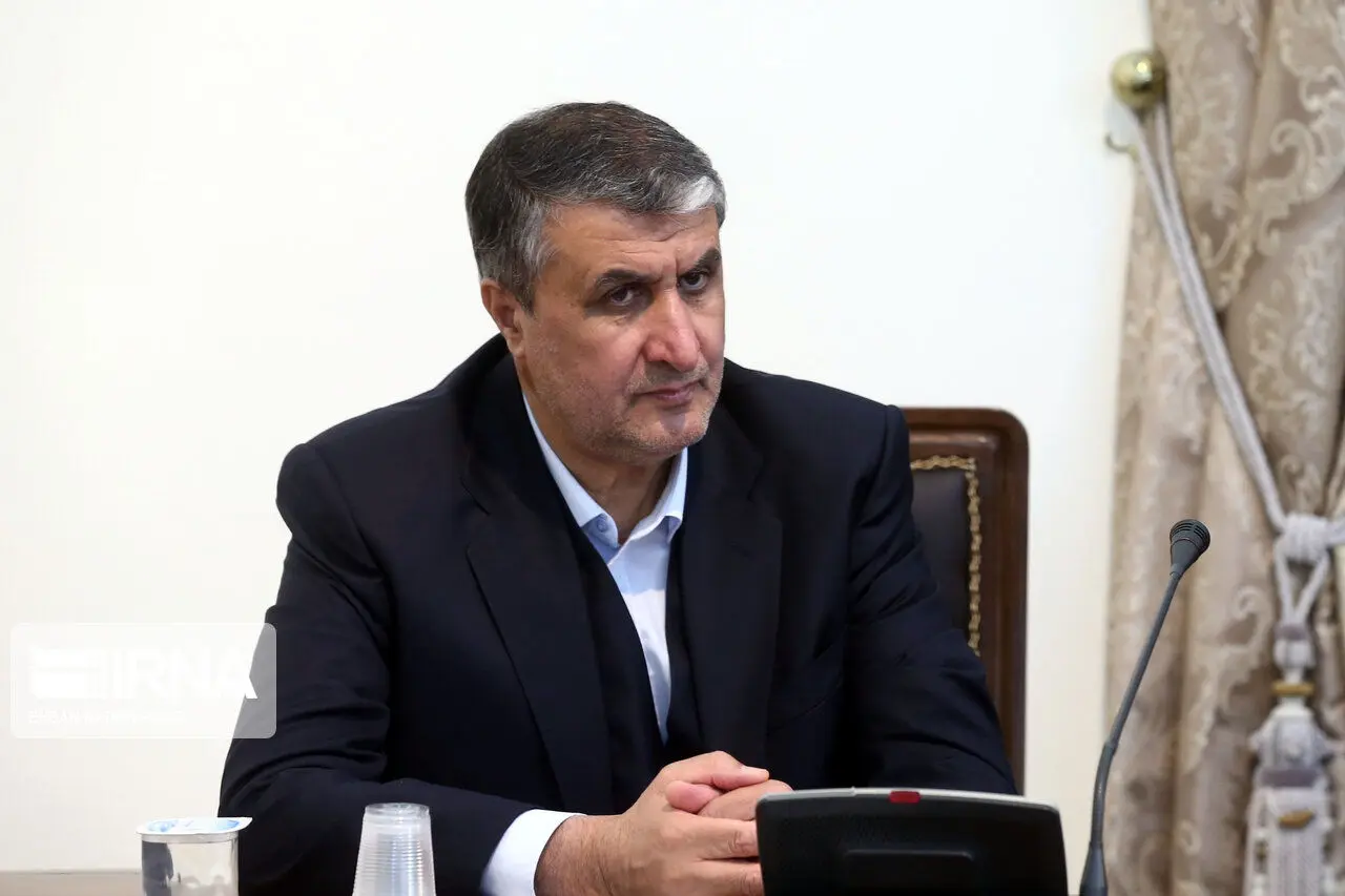 محمد اسلامی: حمله به نطنز تروریستی بود