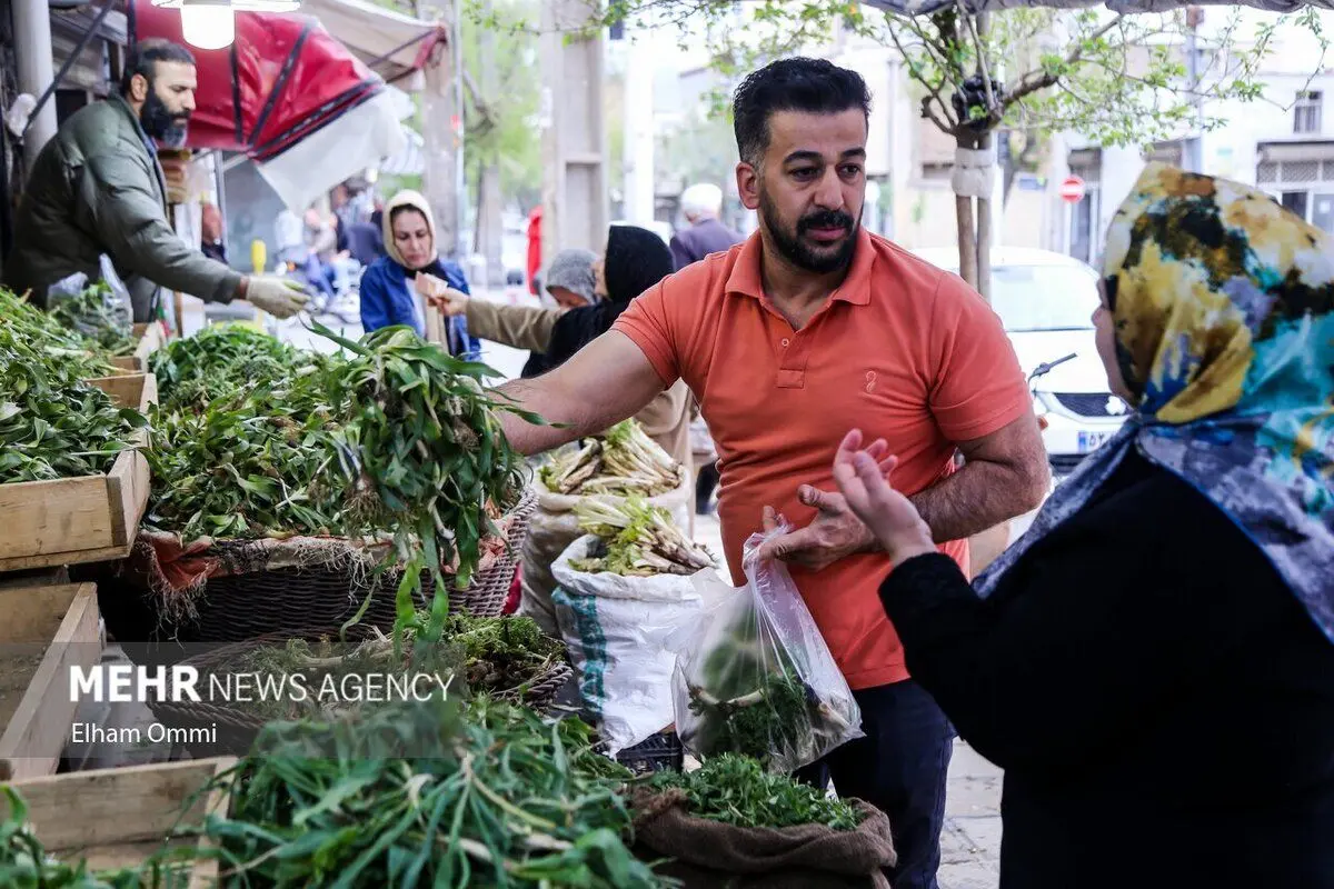 ببینید؛ بهار، فصل پررونق فروش کنگر و ریواس در سنندج