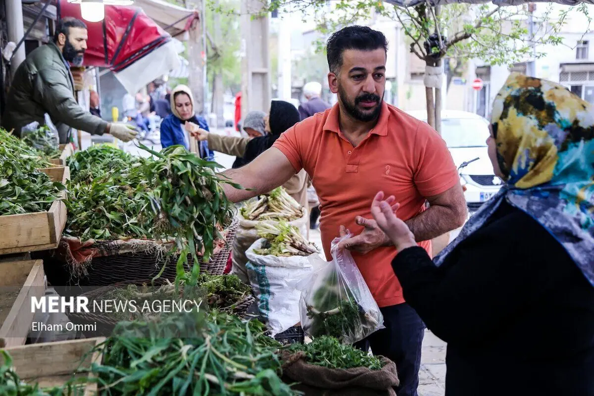 ببینید؛ بهار، فصل پررونق فروش کنگر و ریواس در سنندج