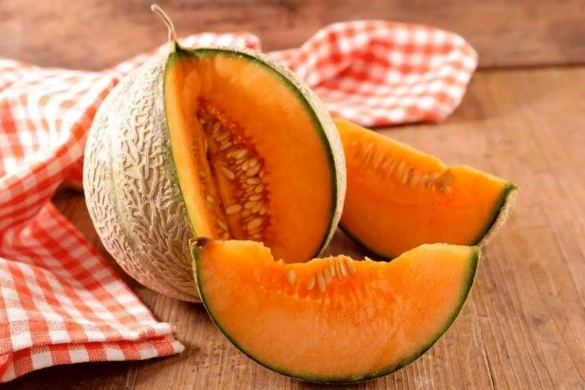 ۶ دلیل برای اینکه همین امروز طالبی را وارد رژیم غذایی‌تان کنید