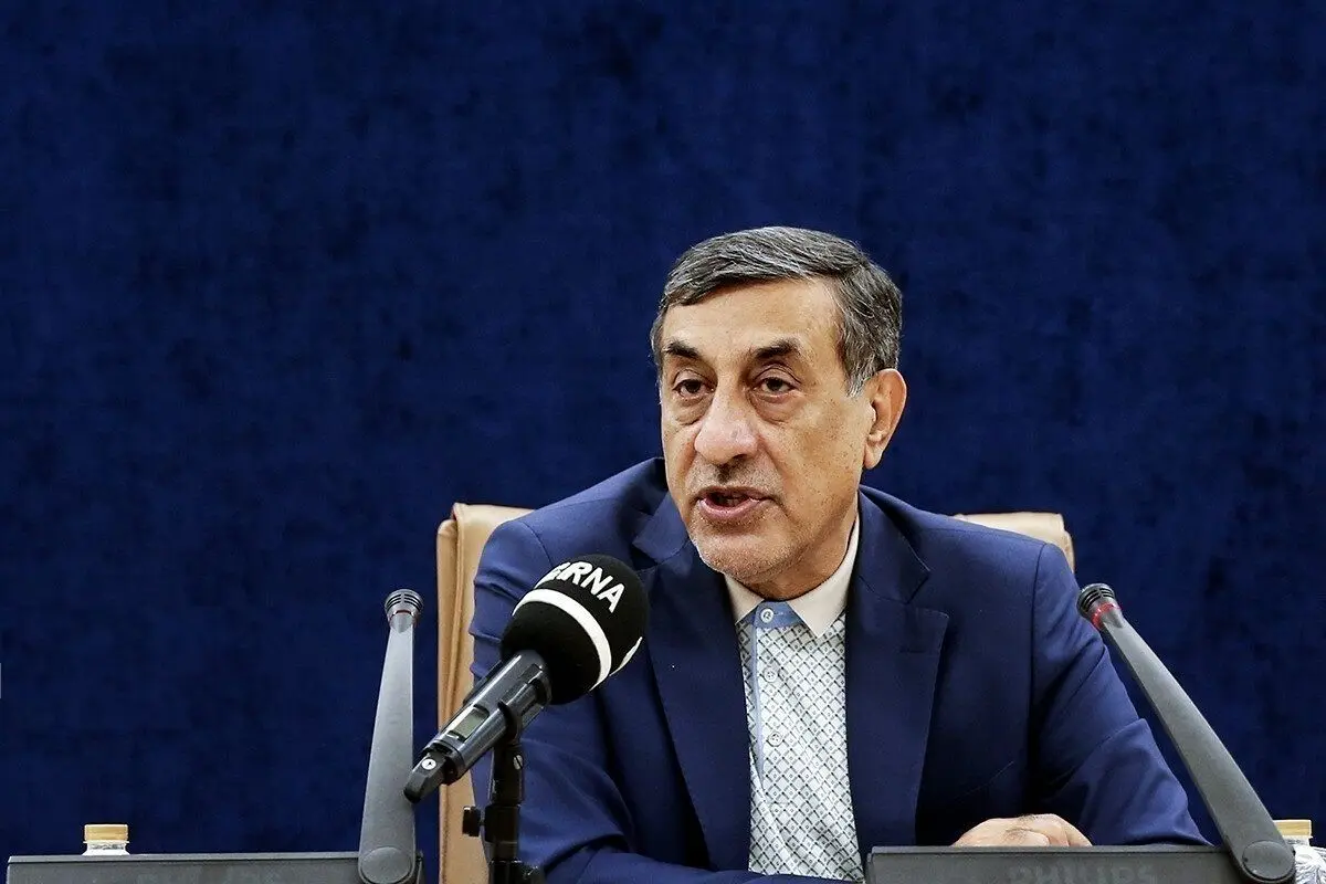 قائم پناه: «طیب نیا» سرلیست گزینه‌های پیشنهادی وزارت اقتصاد است