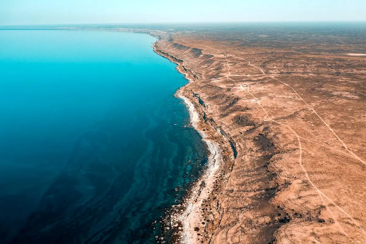 ببینید؛ کوچکی‌نژاد، نماینده رشت: آلودگی، دریای خزر را تهدید می‌کند