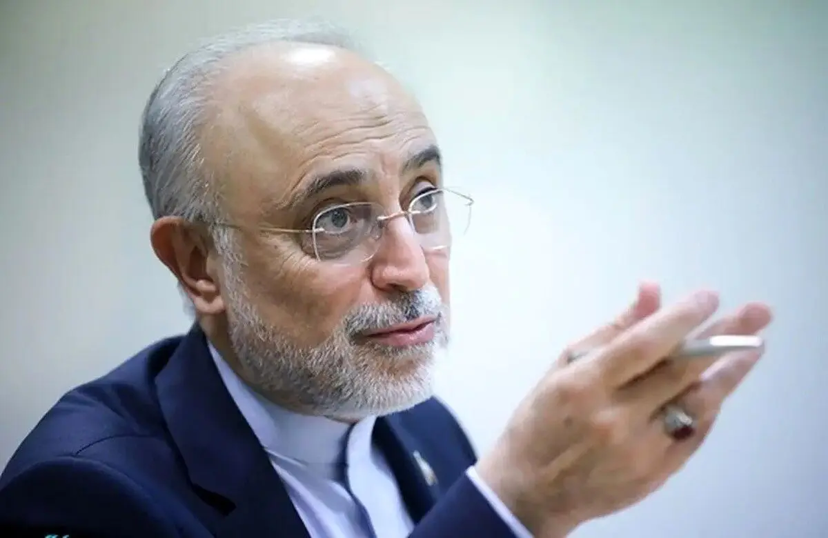 صالحی: ترامپ بی‌جهت آمریکا را درگیر نمی‌کند