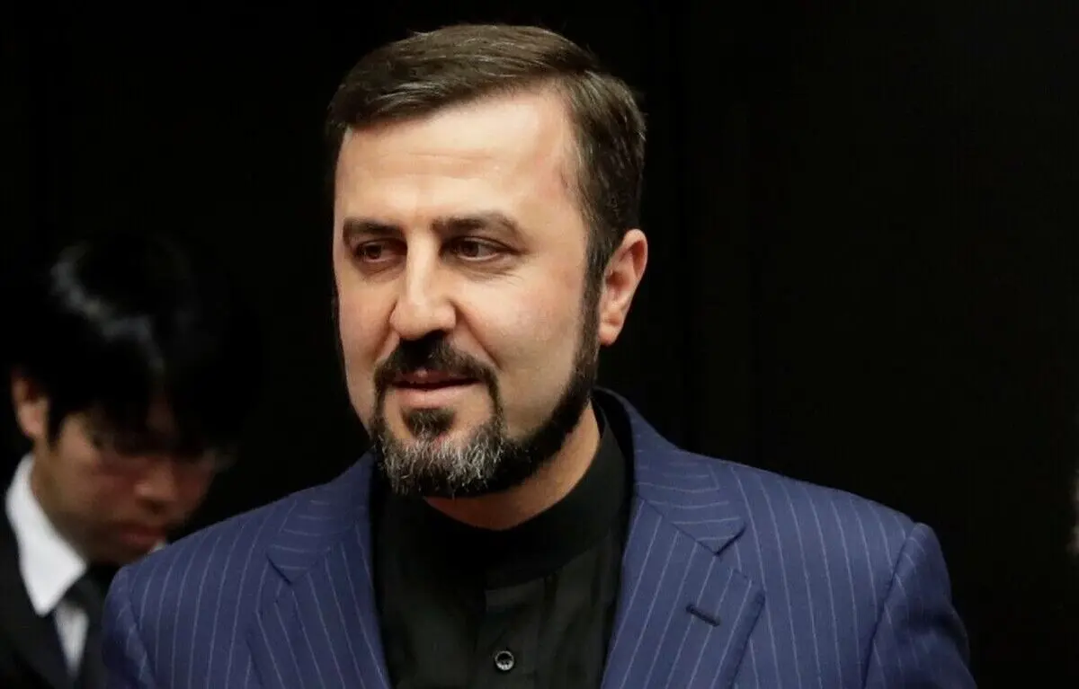 غریب‌آبادی: گروسی چهارشنبه به تهران می‌آید