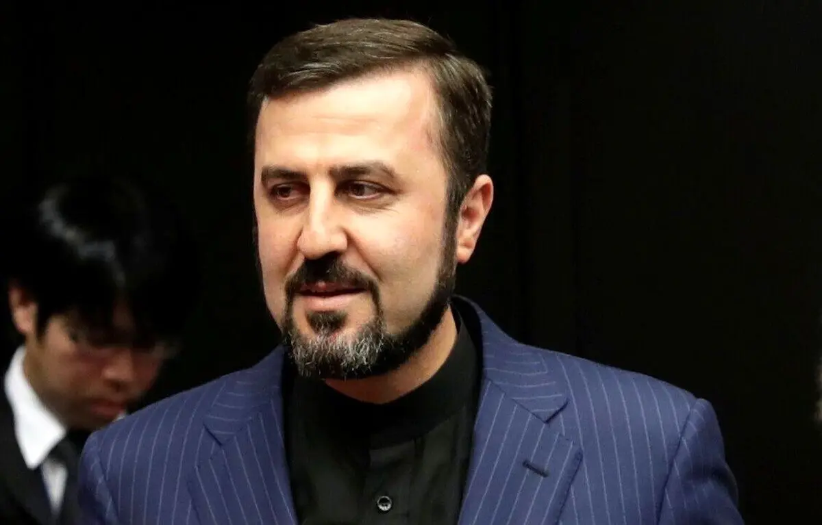 غریب‌آبادی: گروسی چهارشنبه به تهران می‌آید