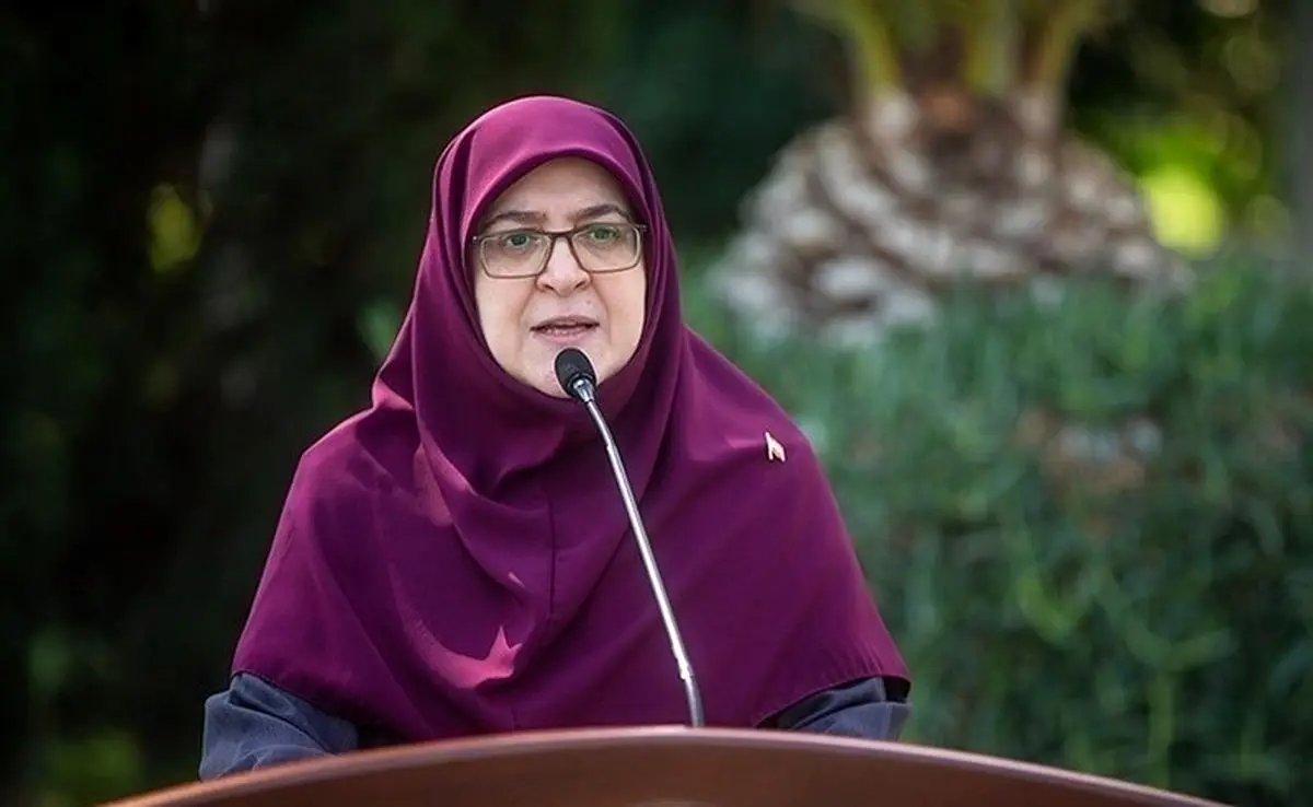 پاسخ مهاجرانی به ادعای نقش دولت در نوسانات ارزی
