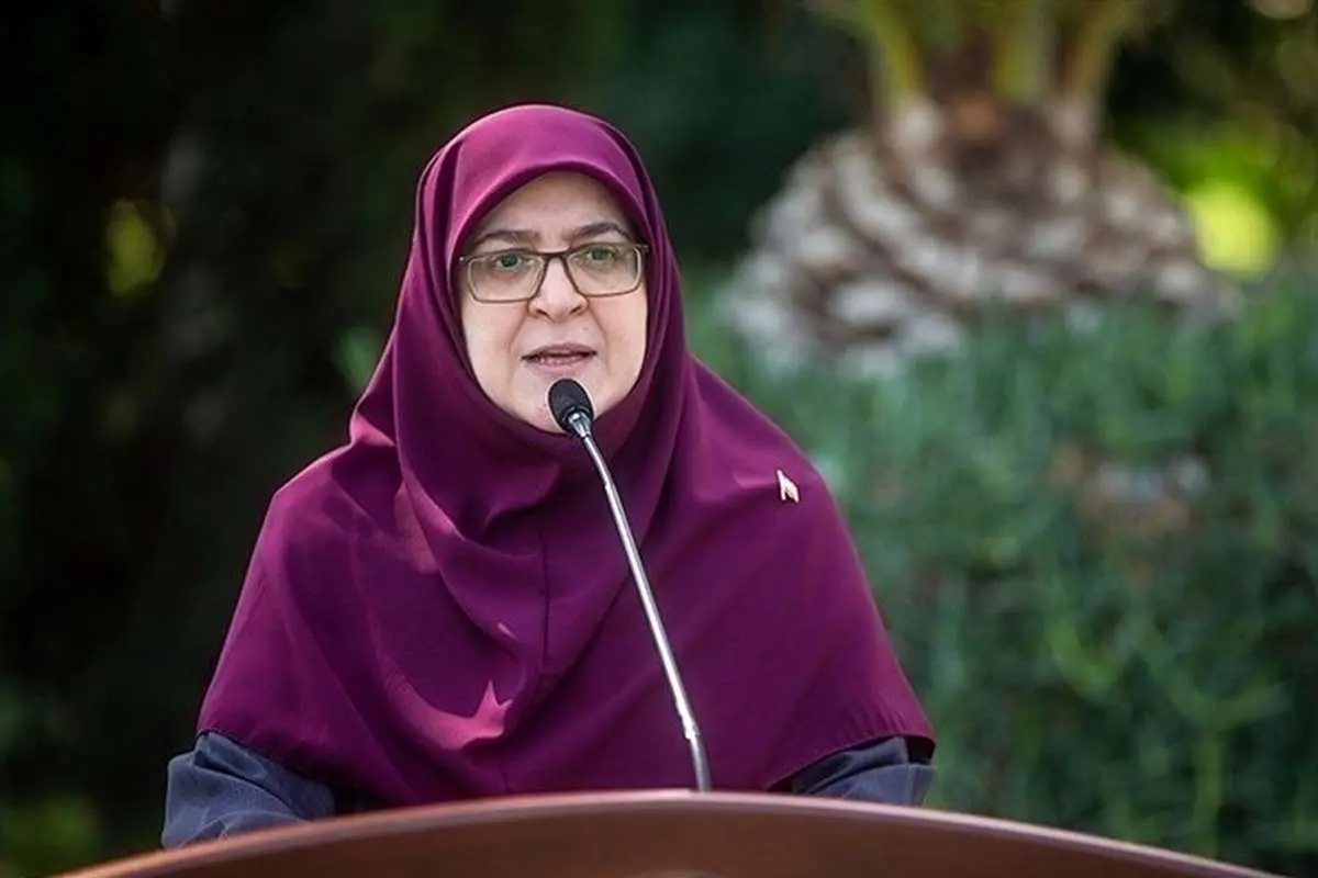 پاسخ مهاجرانی به ادعای نقش دولت در نوسانات ارزی