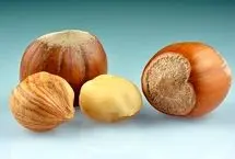 این مغز یک نوع مولتی‌ویتامین محسوب می‌شود