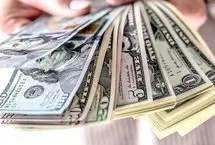 هشدار جدی یک کارشناس ارزی به بانک مرکزی؛ ترمز ریزش دلار کشیده شد؟