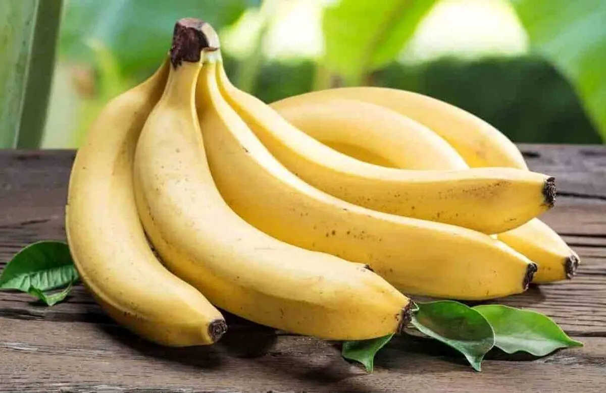 میوه‌ای که مصرف آن چشم‌ها را تقویت می‌کند