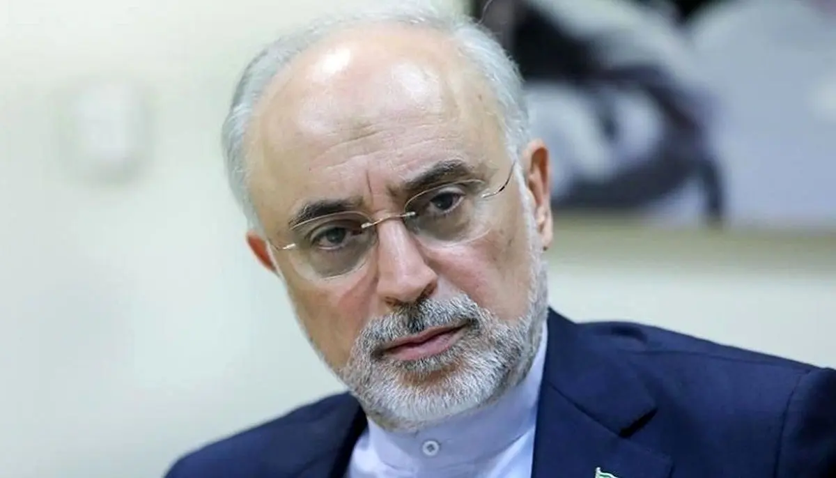 ببینید؛ هشدار علی اکبر صالحی به ترامپ: آقای ترامپ! اشتباه نکن!