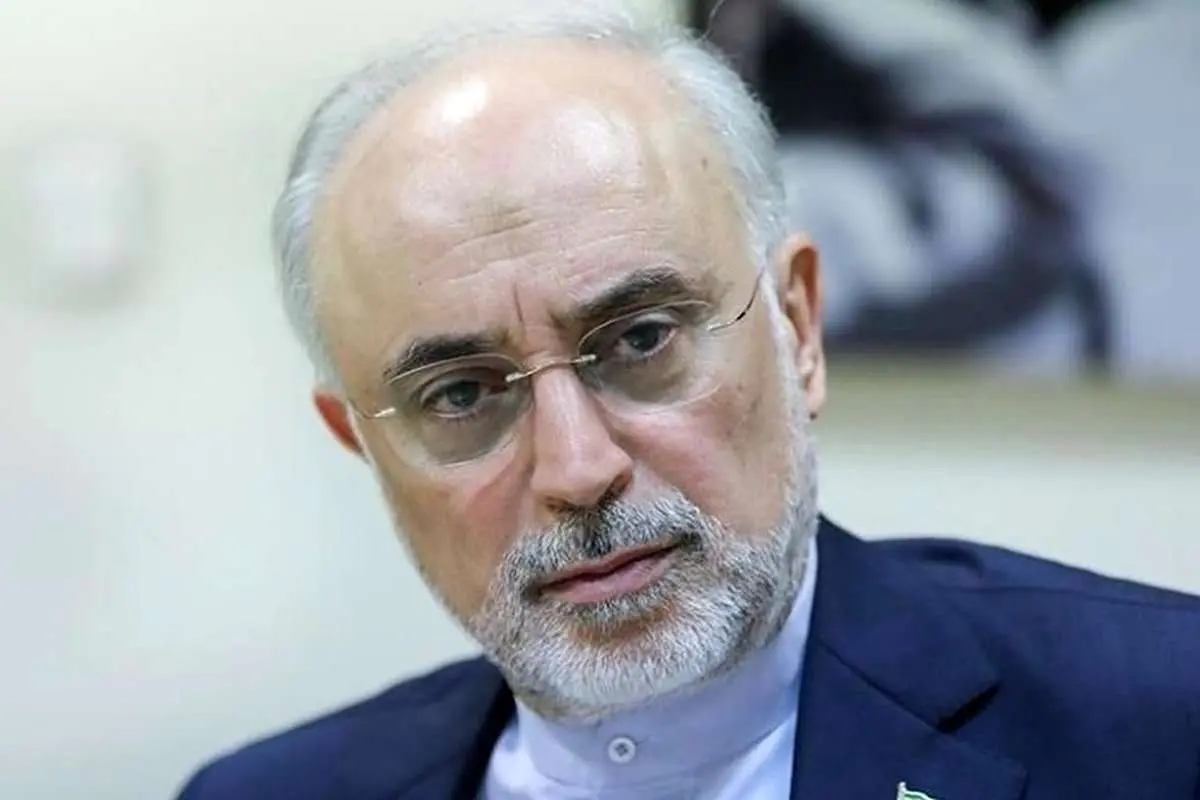 ببینید؛ هشدار علی اکبر صالحی به ترامپ: آقای ترامپ! اشتباه نکن!