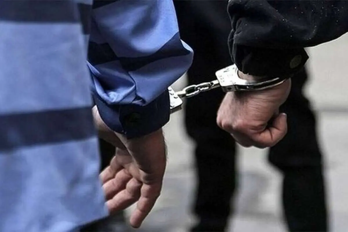 استرداد متهم کلاهبردار ۱۰هزار میلیاردی به کشور