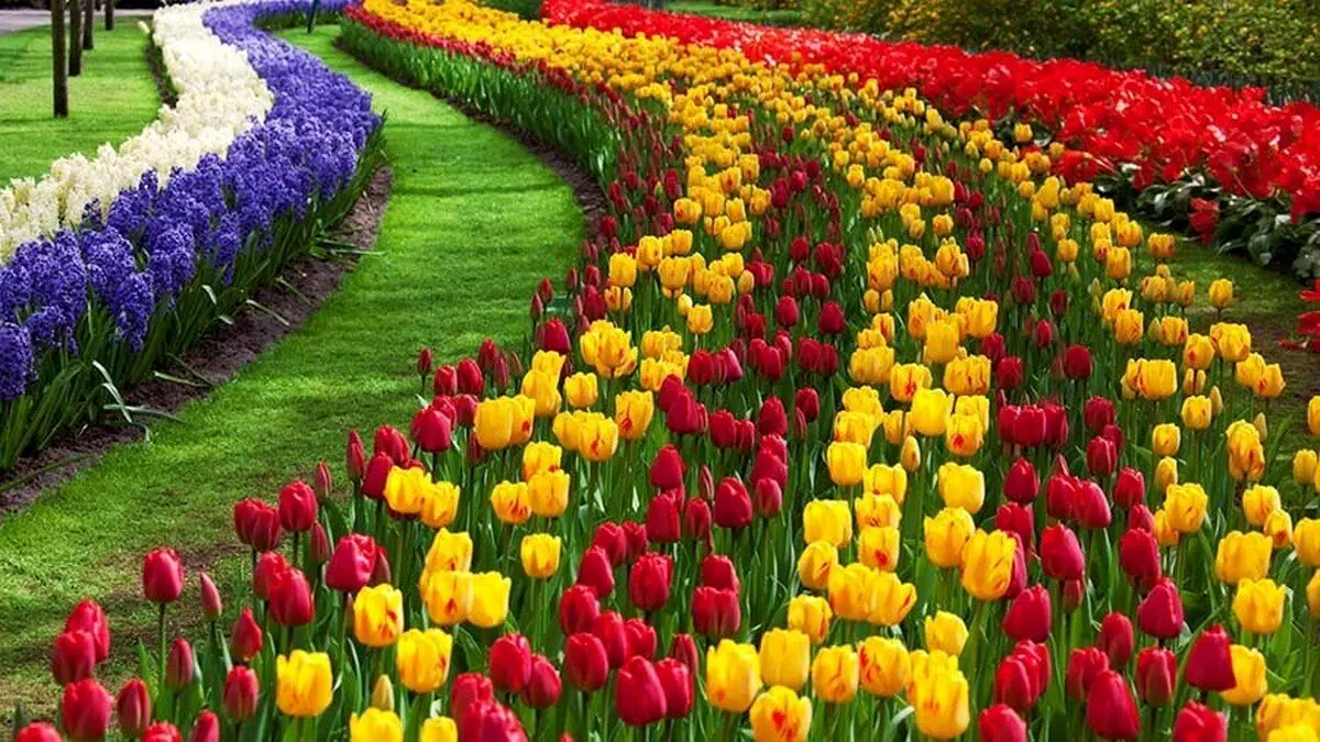 تفال به حافظ جمعه ۲۹ فروردین ۱۴۰۴؛ لب گیری و رخ بوسی، می‌نوشی و گل بویی....