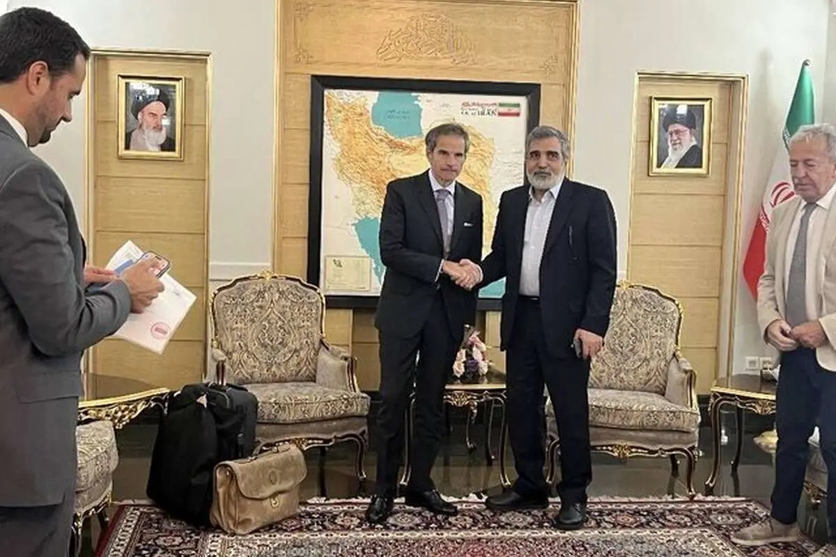 استقبال کمالوندی از گروسی در تهران