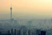 تغذیه و آلودگی؛ انتخاب‌های غذایی که شما را ایمن می‌کند