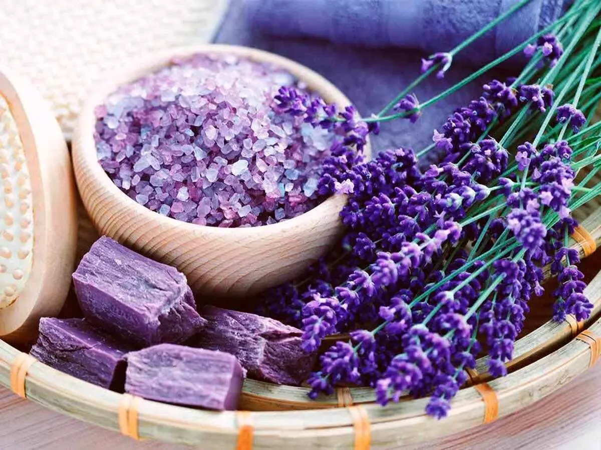 گیاهان دشمن استرس، چه گیاهانی هستند؟