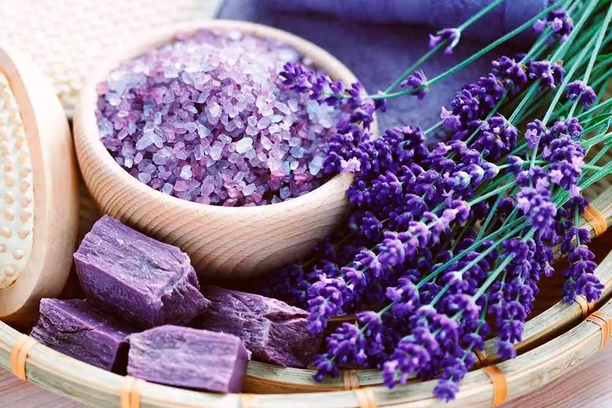 گیاهان دشمن استرس، چه گیاهانی هستند؟