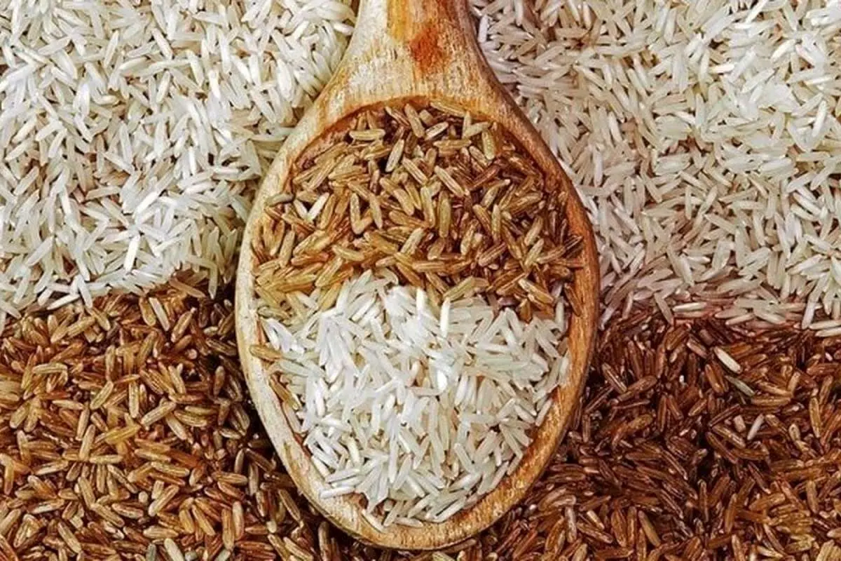 برنج قهوهای؛ سالمتر یا پرخطرتر؟