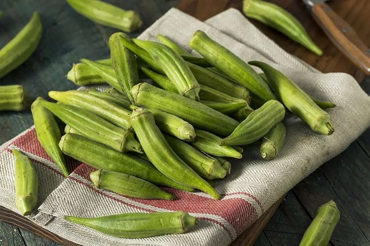 خواص چشمگیر این سبزی در کاهش کلسترول