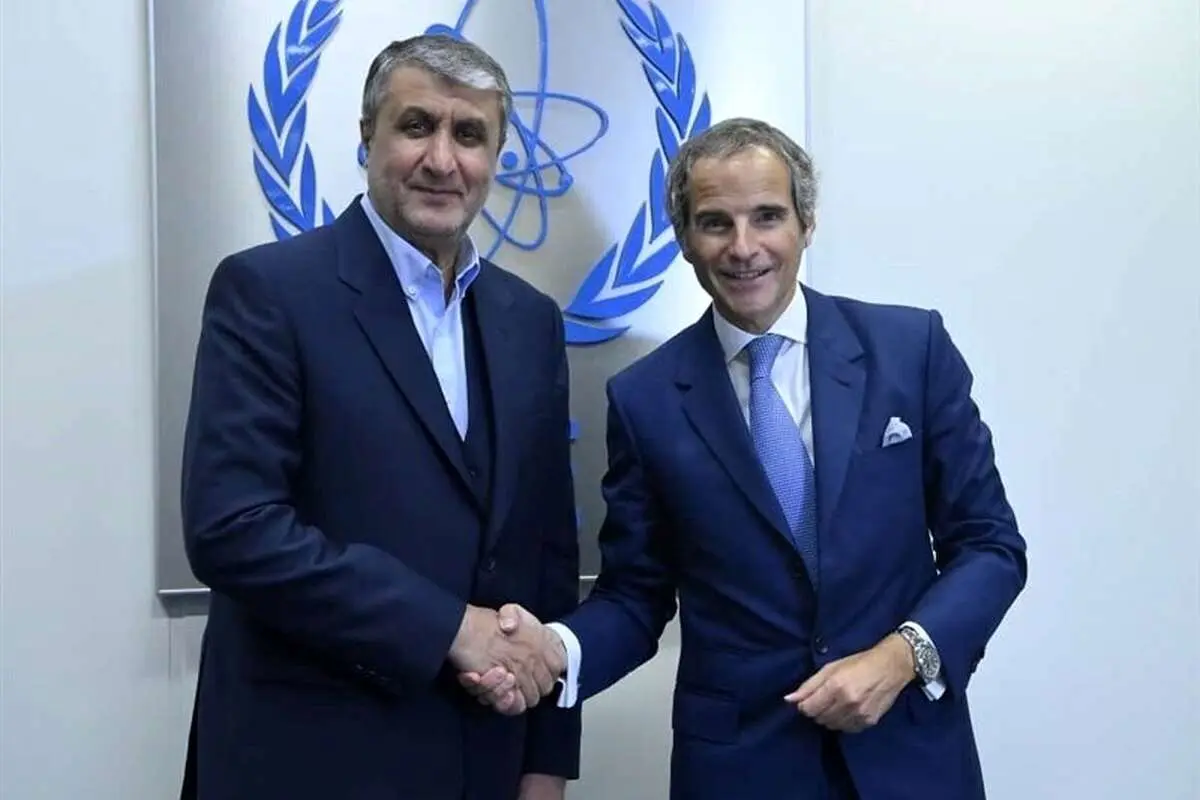 گروسی با رییس سازمان انرژی اتمی دیدار کرد