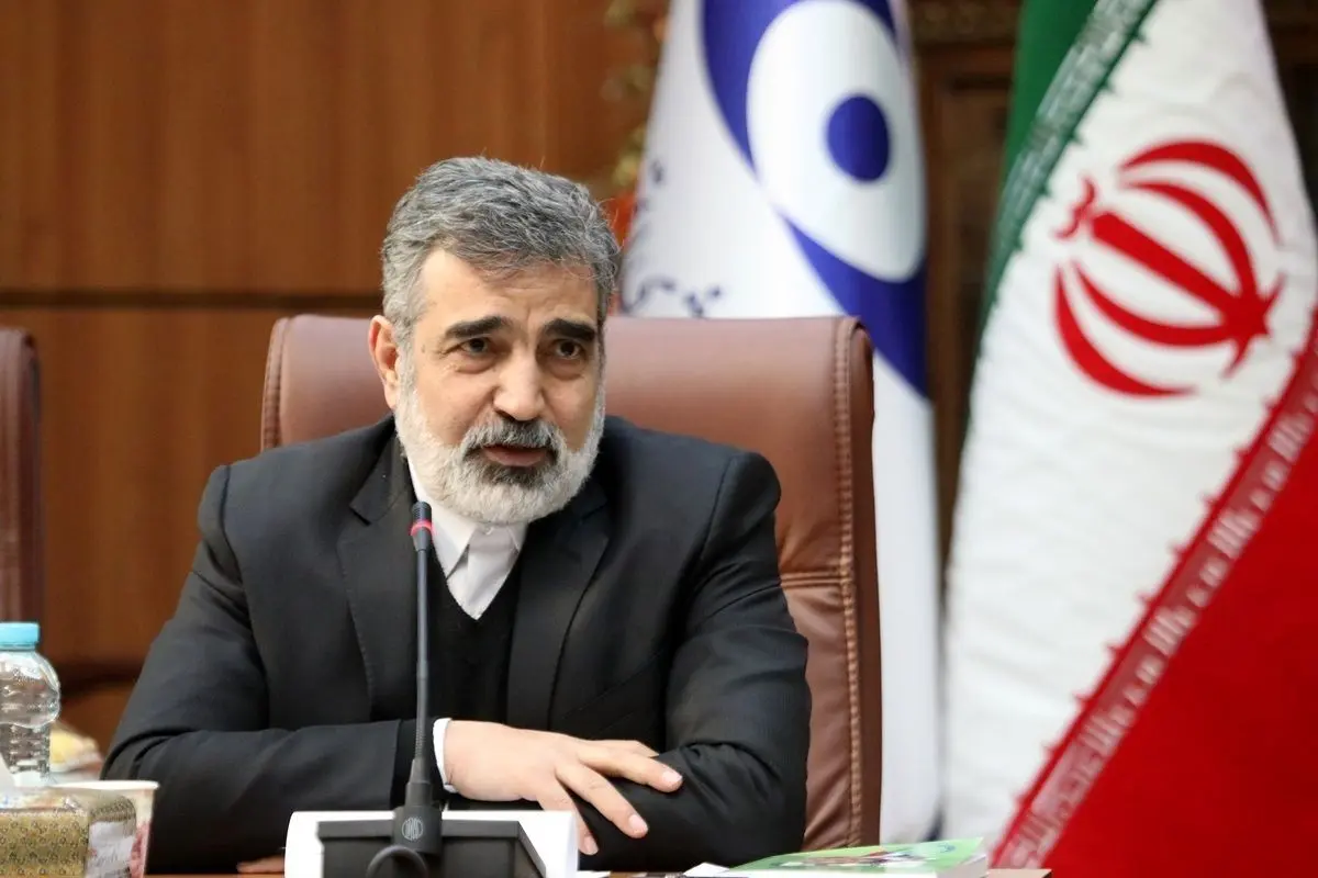 کمالوندی: معاون گروسی برای تداوم مذاکرات فنی به ایران سفر می‌کند