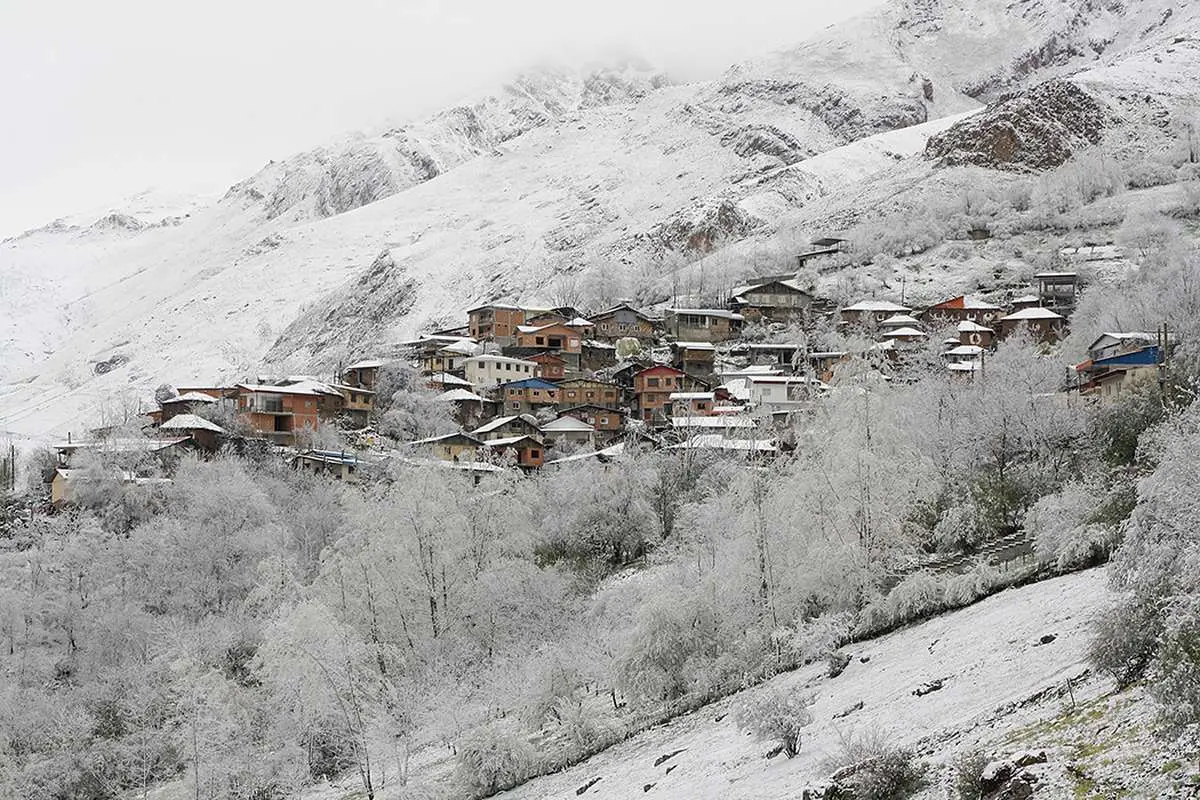 تصاویر؛ بارش برف بهاری در روستای ناتر چالوس
