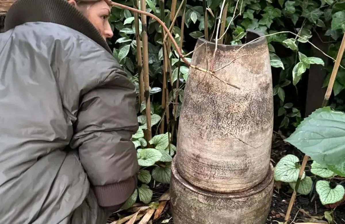 کشف «گنج سفالی» در باغچه خانه مادربزرگ