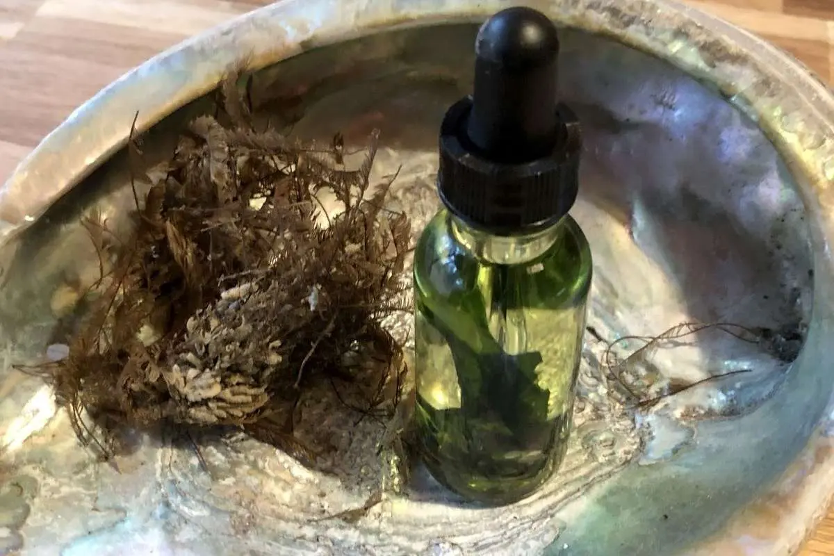 آیا روغن جلبک برای پختوپز سالم است؟