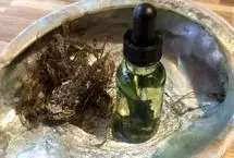 آیا روغن جلبک برای پخت‌و‌پز سالم است؟