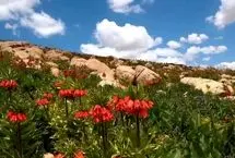 بهترین مکان‌های دیدنی ایران در فصل بهار که از دست دادنشان حیف است