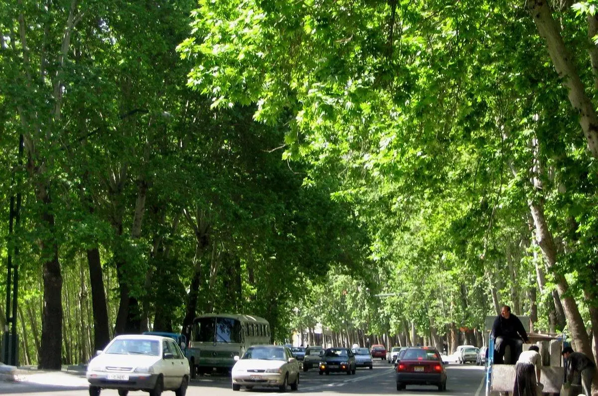 تصویر؛ حال وهوای خیابان ولیعصر در دوران قدیم
