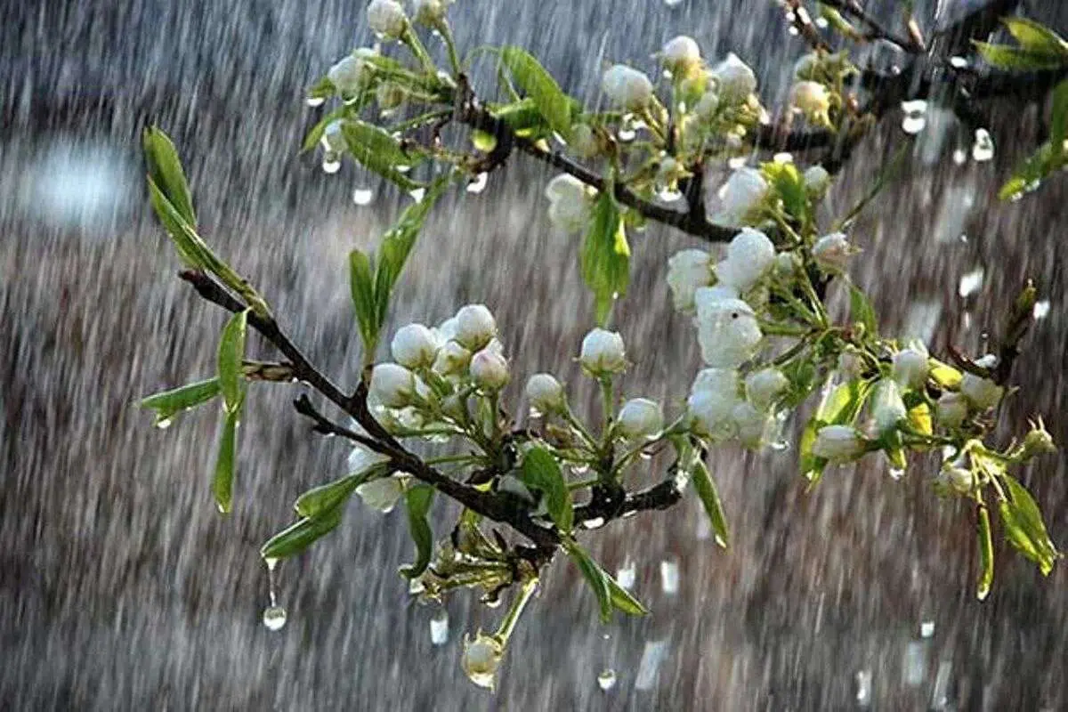 ۵ روز از اردیبهشت با رگبار و رعد و برق