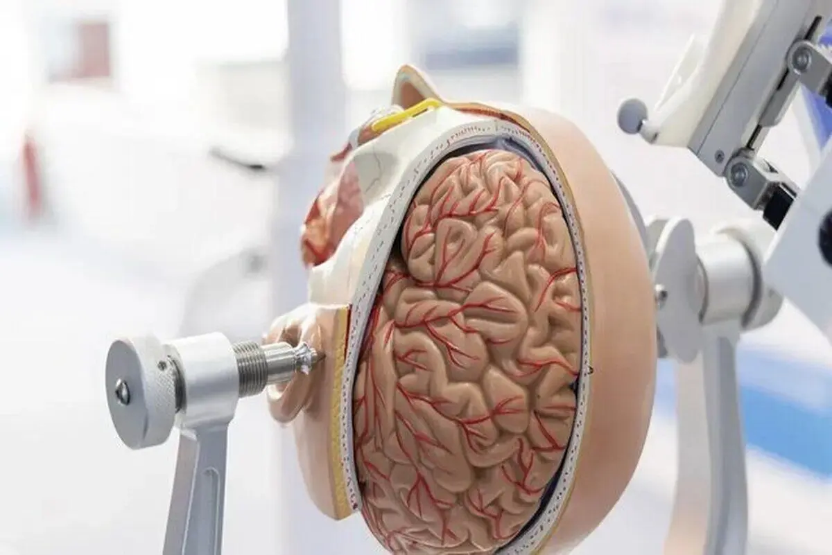 ببینید؛ جراحی مغز با رباتی هم‌اندازه برنج!