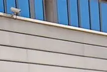 آغاز پیش‌فروش عمومی ۵ خودرو سایپا