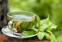 درمان التهاب معده با این داروی گیاهی