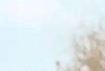 نگاهی به بازار خودرو در هفته اول اردیبهشت؛ تارا اتوماتیک ۲۵ میلیون ارزان شد