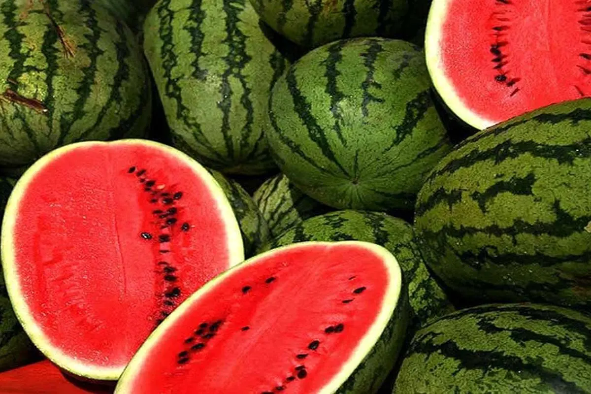 ببینید؛ شیوه رنگ کردن هندوانه برای فروش!
